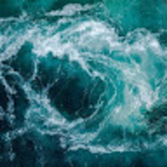 Meet your Posher, Taylor - Picture 1 of 1